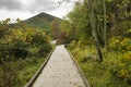 Autumn View of Sharp Top Mountain, Abbott Lake and Boardwalk Royalty Free Stock Photo